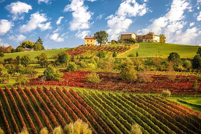 Colline del Lambrusco, Castelvetro, Food Valley. 1938380761