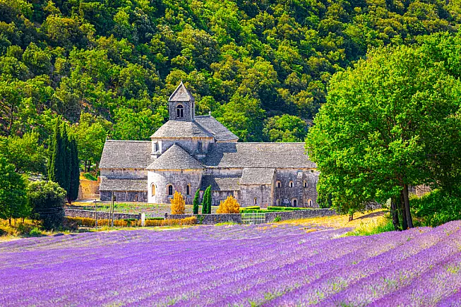 Gordes, l'abbazia di Sénanque, circondata dai campi di lavanda. 
