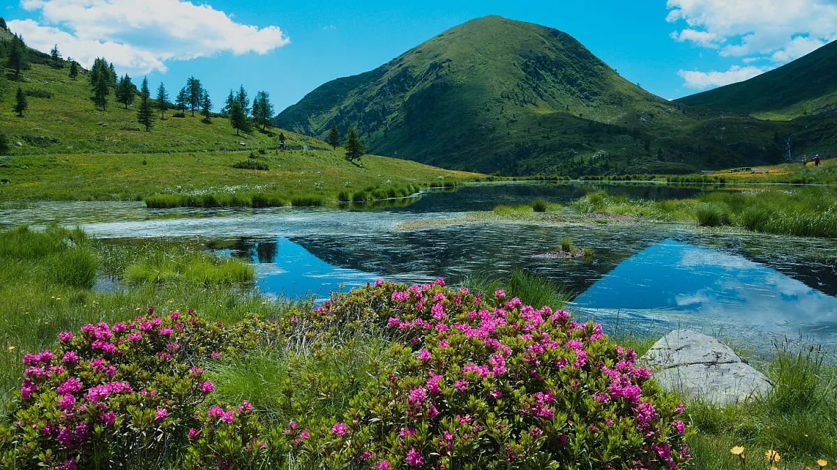 Passo del Vivione. Shutterstock_2435863987