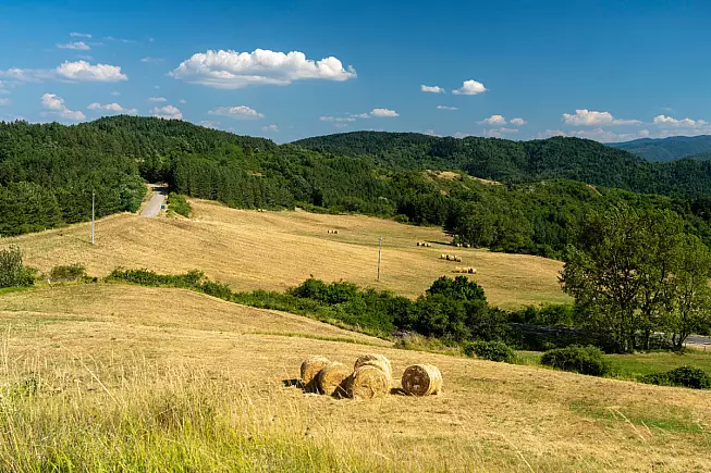 Passo della Consuma. Consuma, Arezzo