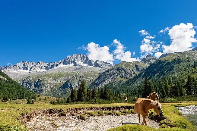 Adamello, Parco Naturale Adamello Brenta Geoparco, Carè Alto