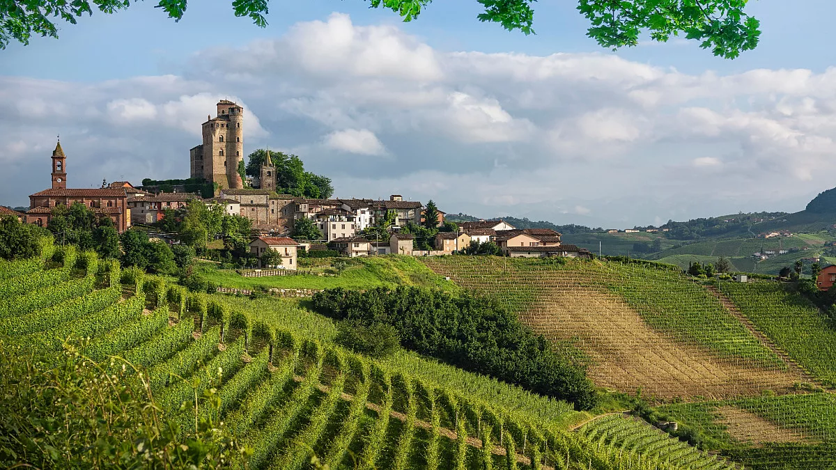 Langhe. Shutterstock_2516500999