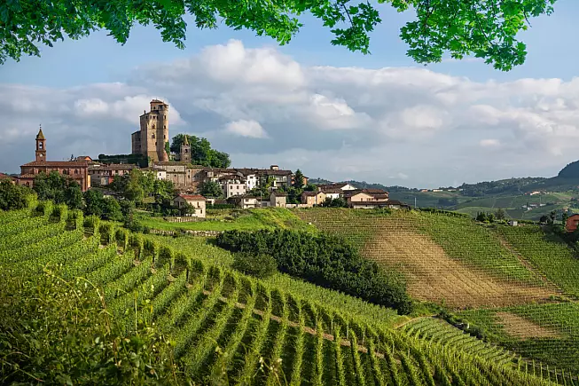 Langhe. Shutterstock_2516500999