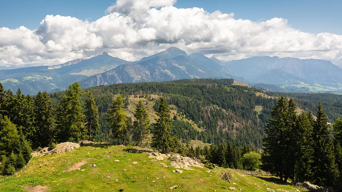 Parco Naturale Monte Corno, Passo di San Lugano. Shutterstock_2265937023