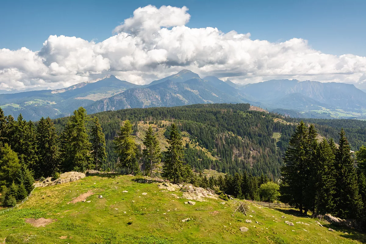 Parco Naturale Monte Corno, Passo di San Lugano. Shutterstock_2265937023