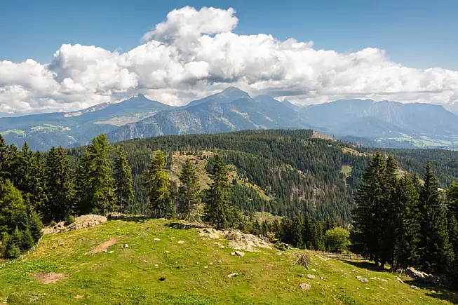 Parco Naturale Monte Corno, Passo di San Lugano. Shutterstock_2265937023