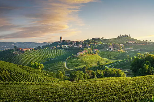 Roero, Barbaresco