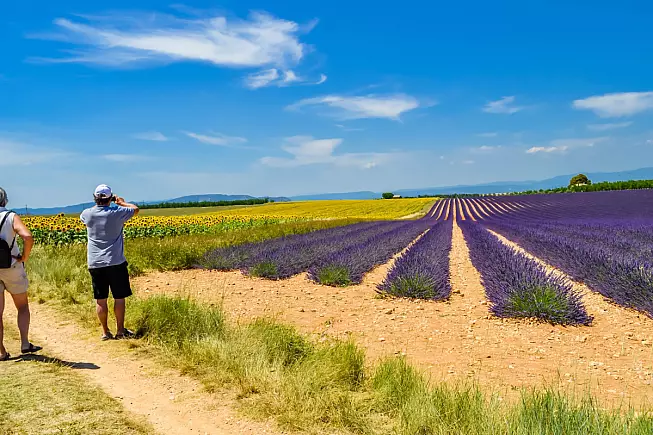 Altopiano di Valensole, Francia