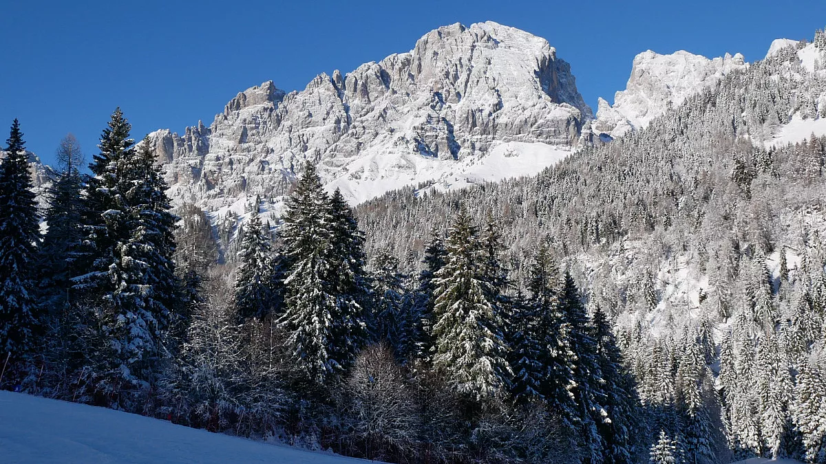 Forcella Aurine. Gosaldo, Belluno. Shutterstock_2102534803