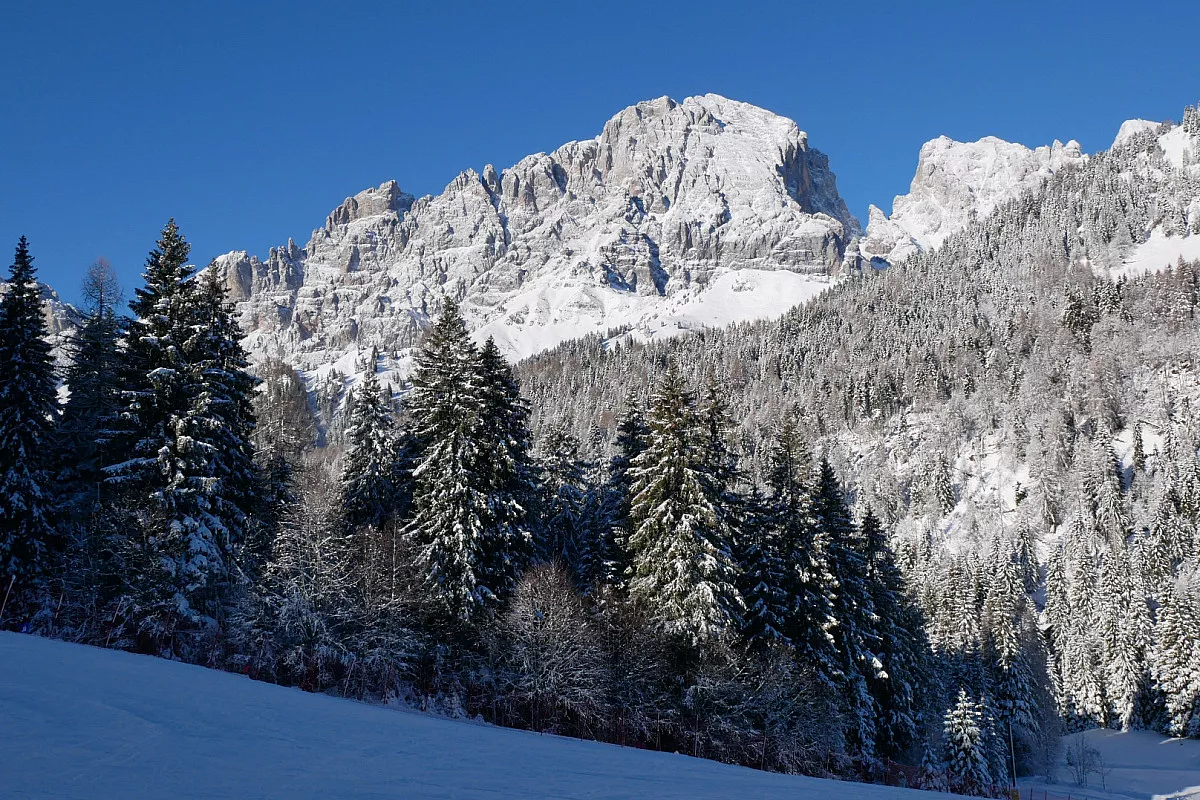 Forcella Aurine. Gosaldo, Belluno. Shutterstock_2102534803
