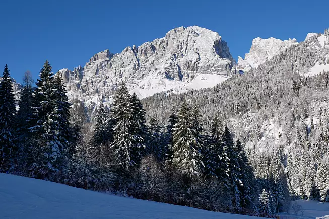 Forcella Aurine. Gosaldo, Belluno. Shutterstock_2102534803