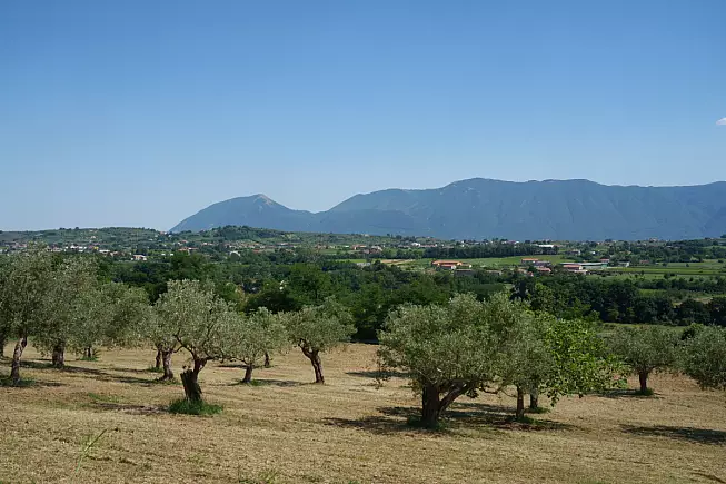 Francigena del Sud, Cerreto Sannita, vicino Benevento. Shutterstock_2404006313