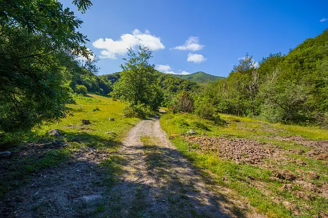 Passo della Forcella, Monte Ramaceto vicino Borzonasca