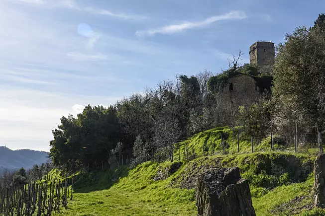 Torre di Galatrona, Bucine, Arezzo