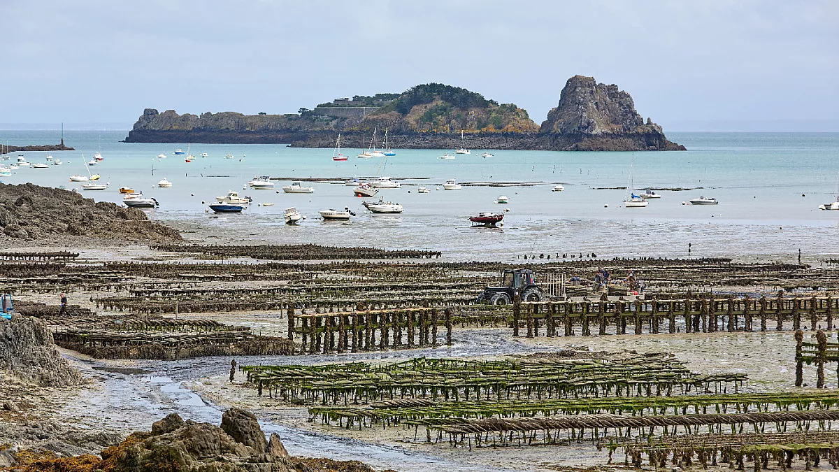 Cancale, impianto di ostricoltura