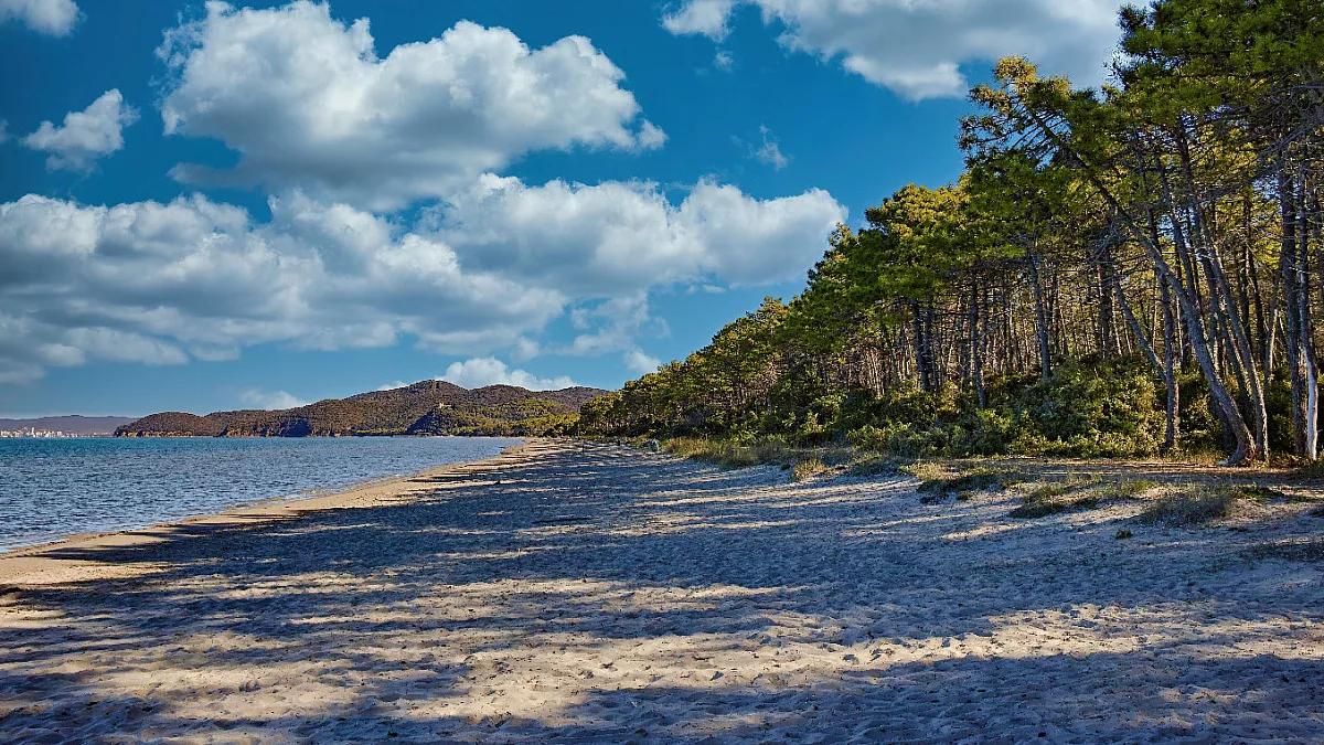 Costa Toscana, Cala Violina. Shutterstock_2342369125