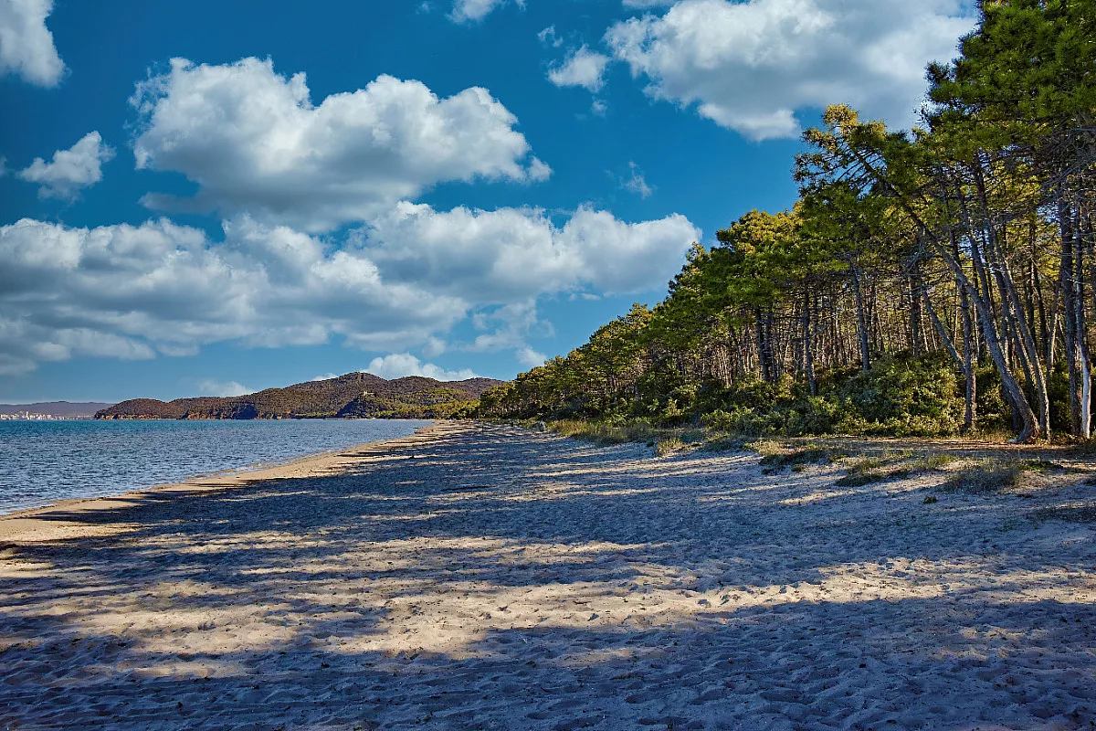 Costa Toscana, Cala Violina. Shutterstock_2342369125