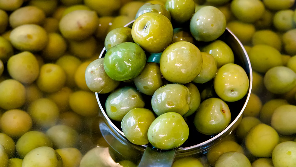 Le tipiche olive di Castelvetrano, varietà Nocellara del Belice. 