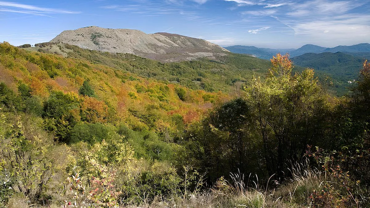 Alberi e arbusti a fondo di una valle e panorama dei monti attorno al Passo dello Zovallo