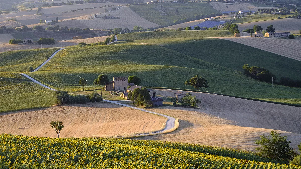 Strade di Filottrano, Marche. Shutterstock_745544668
