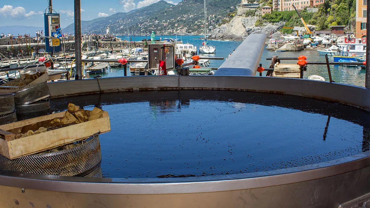 Camogli, la Padella della Sagra del Pesce. Shutterstock_138509366