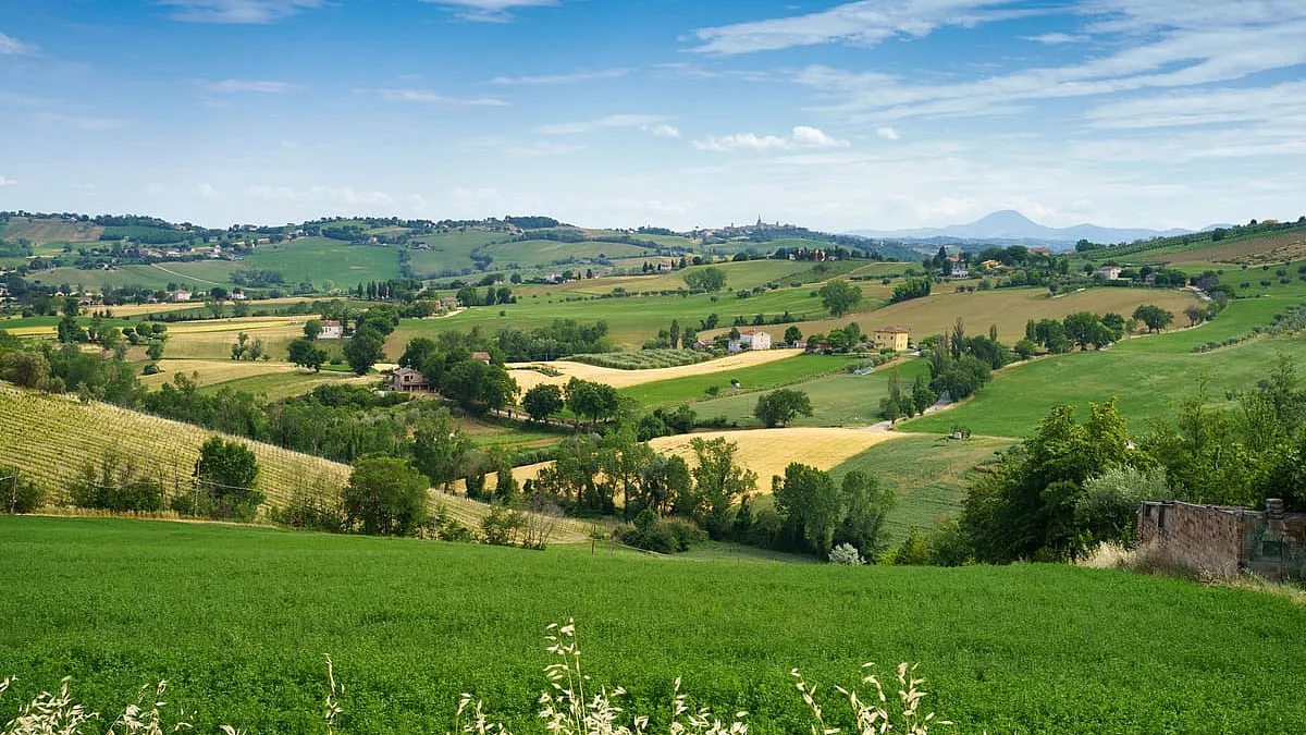 Gli infiniti paesaggi e scenari che circondano le colline di Ostra. 