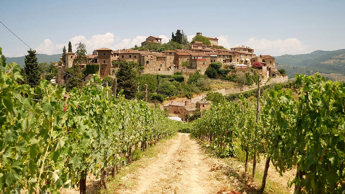 Le vigne intorno al borgo di Montefioralle.