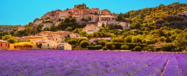 Provenza: Nizza e Camargues