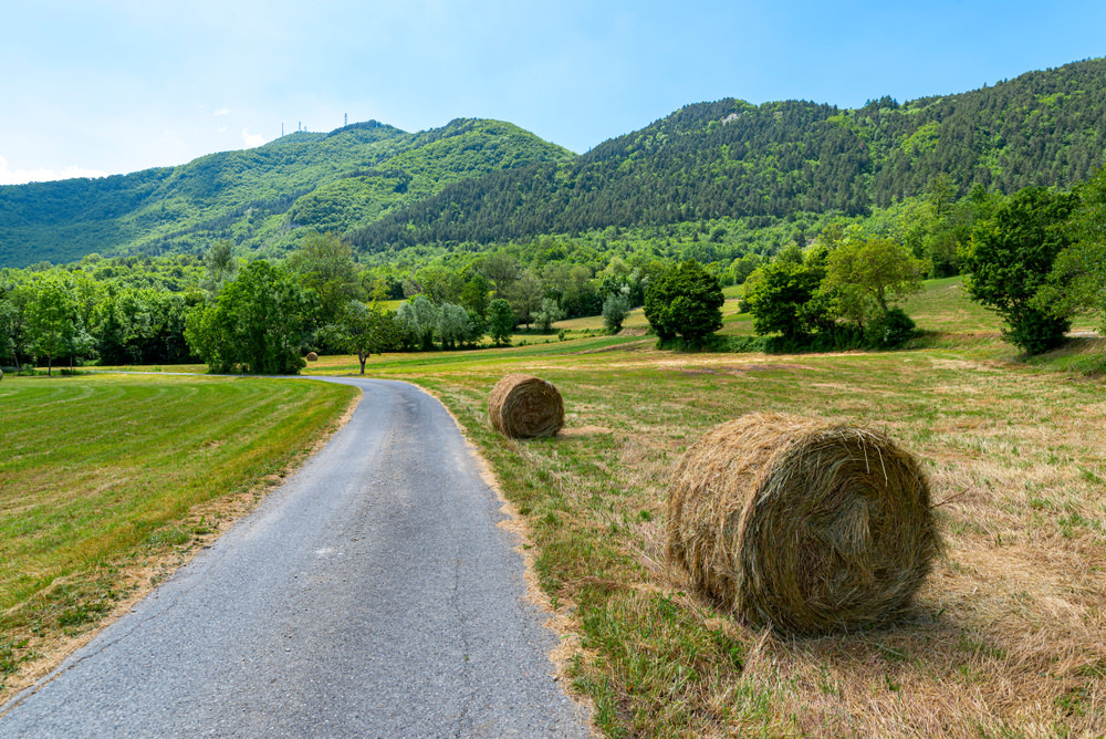 passo penice