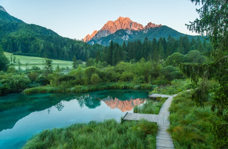 zelenci slovenia_148360040