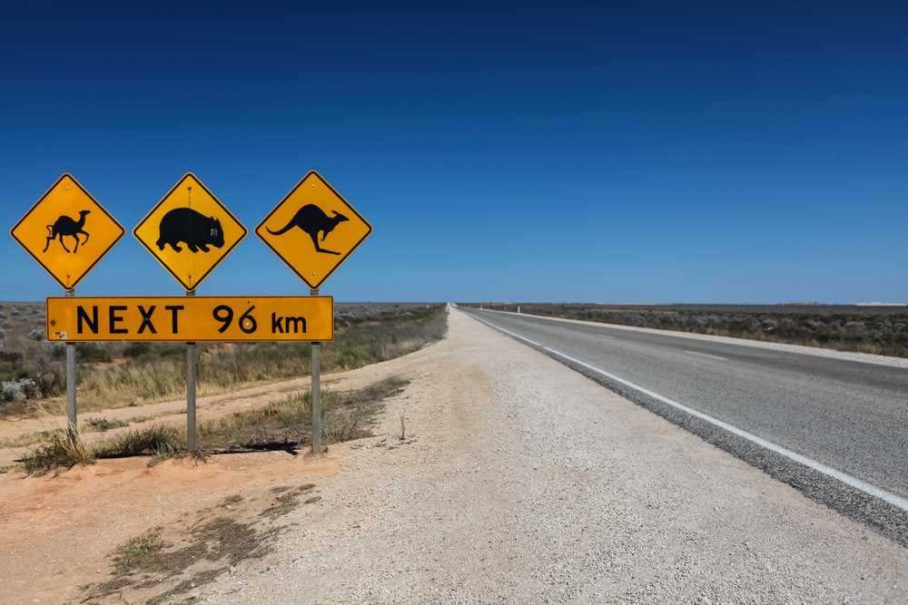 Eyre Highway