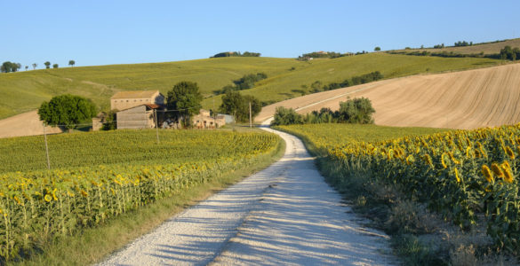 filottrano