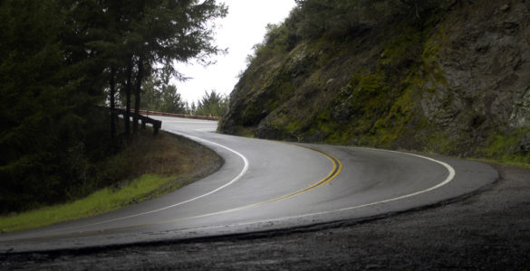 gavia 5