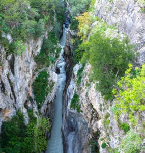raganello_402737458
