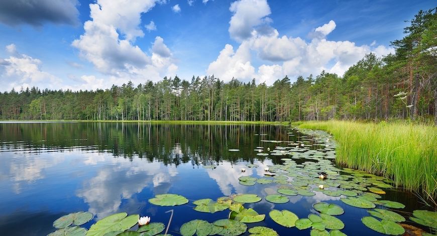 Alla scoperta della Finlandia in moto: il lago Saimaa