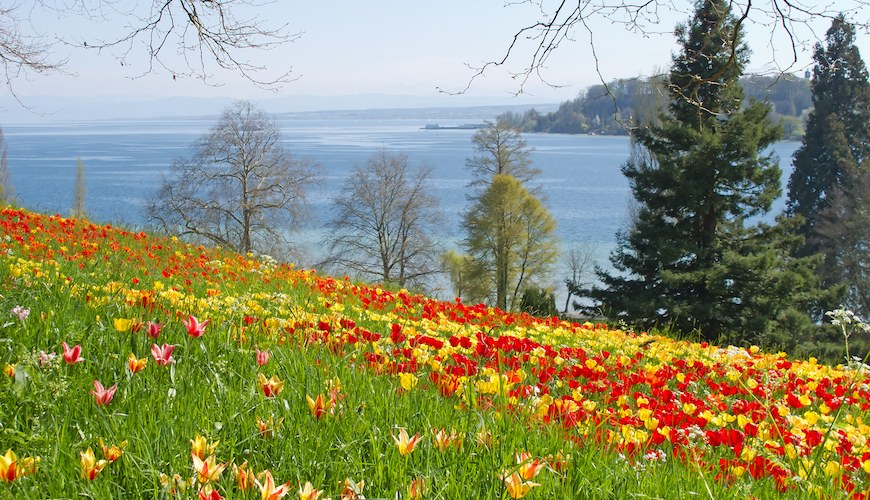 Itinerario in moto sul Lago di Costanza: l'Isola di Mainau Itinerario in moto sul Lago di Costanza: l'Isola di Mainau