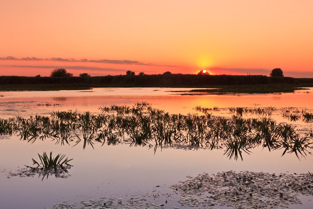 Delta del fiume in Romania