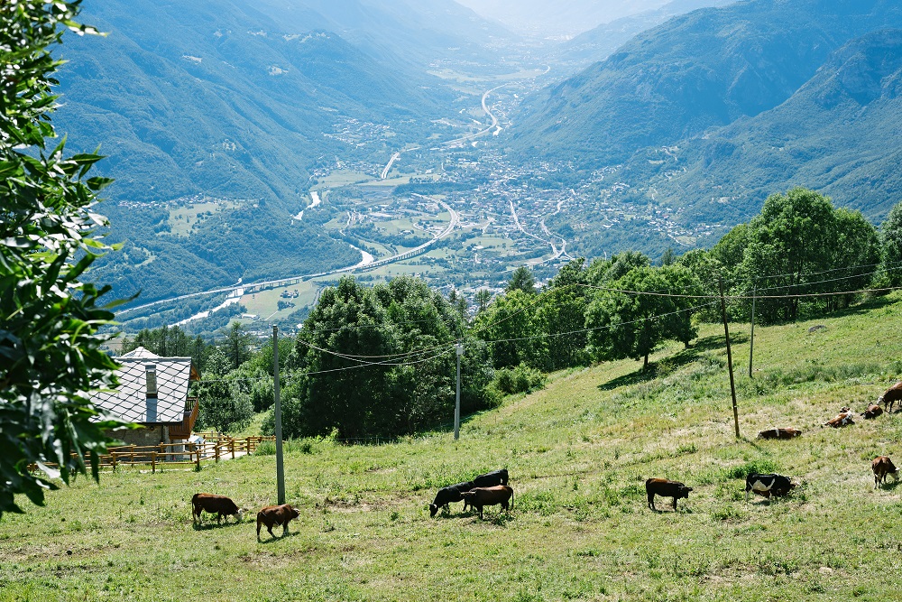 Col de Joux