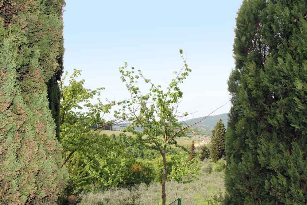 Greve in Chianti, Toscana
