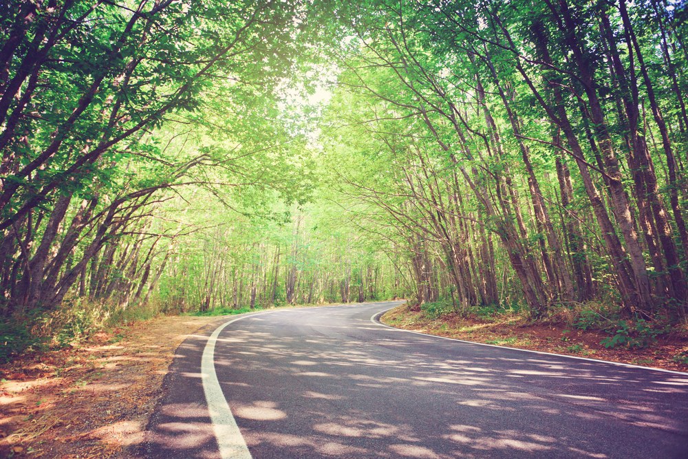 Calabria in moto. Aspromonte
