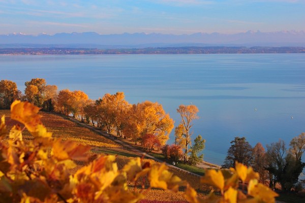 Neuchatel Neuchatel