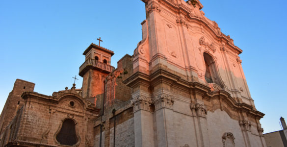 Winter Run Immacolataday