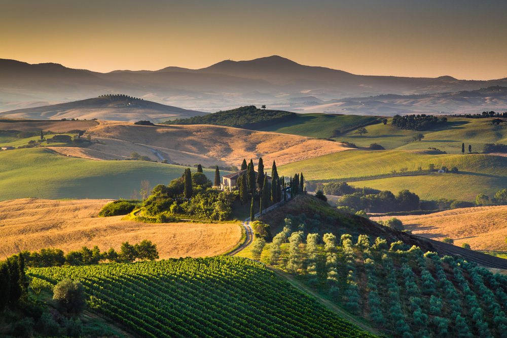 Profumi della Toscana 2018