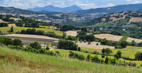 Bocca Serriola