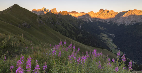 estate in Trentino. Tramonto in malghe © Trentino – A. Gruzza copia
