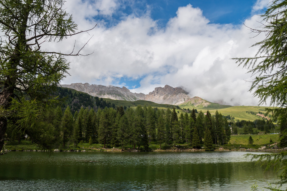 Passo San Pellegrino, natura