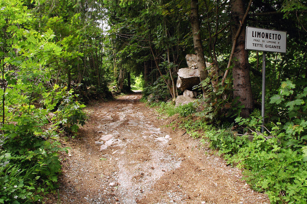 Colle di Tenda, Limonetto, Via del Sale