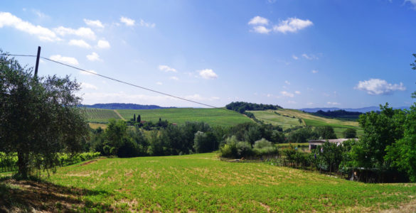 Passo della Consuma