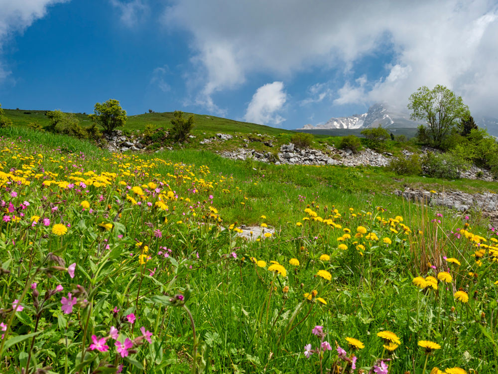 Colle di Zambla