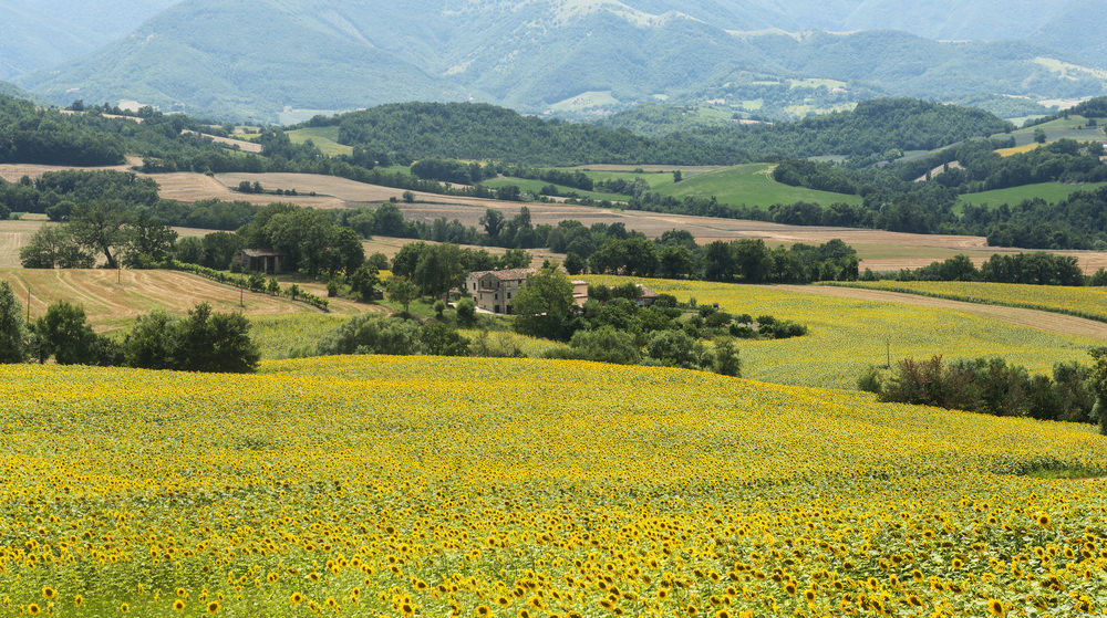 Monte Nerone, Cagli